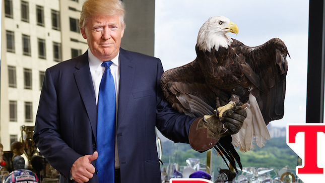 Donald Trump, Bald Eagle, Uncle Sam