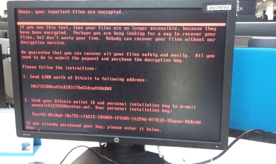 The new variant of Petya, as photographed by Symantec researcher Ankit Singh