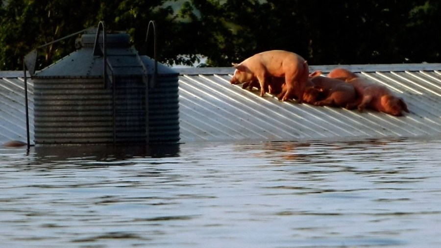 flood_climate_farm