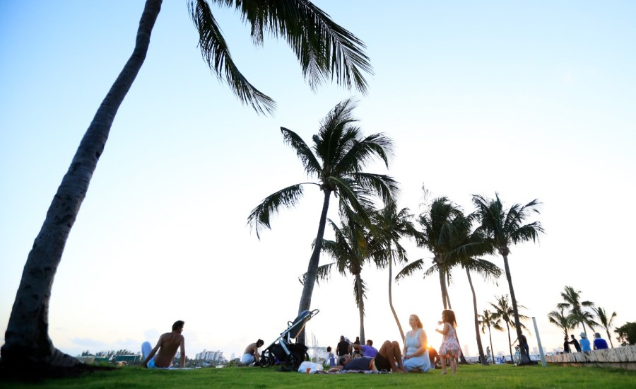 people sit on a stretch of green under palm trees near the ocean in florida