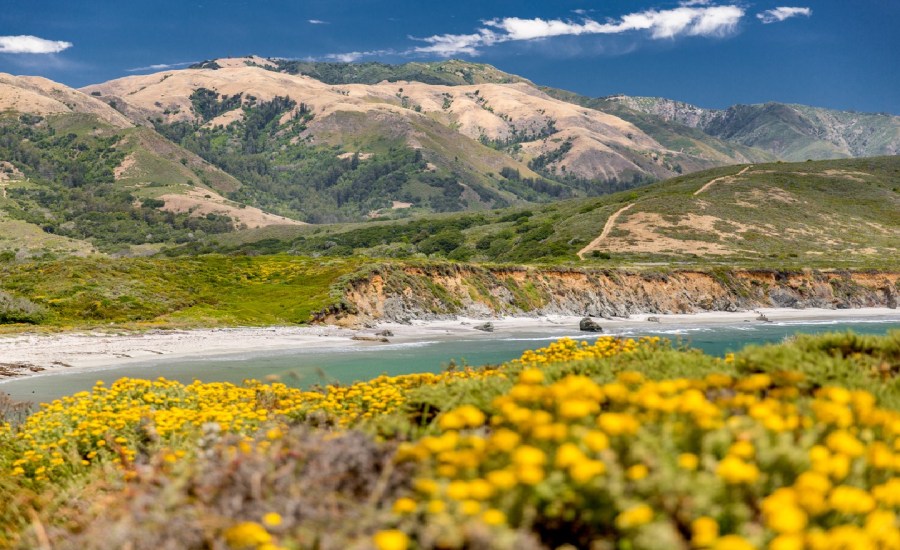 george floyd native american esselen tribe northern california 200 years land big sur carmel-by-the-sea environment american indians