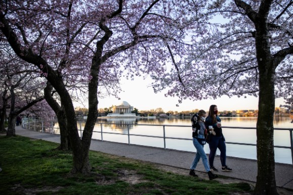 Tidal Basin