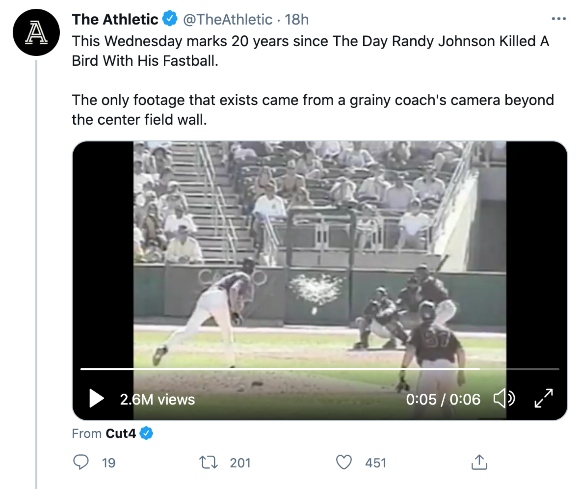 A bird is killed by a Randy Johnson fastball