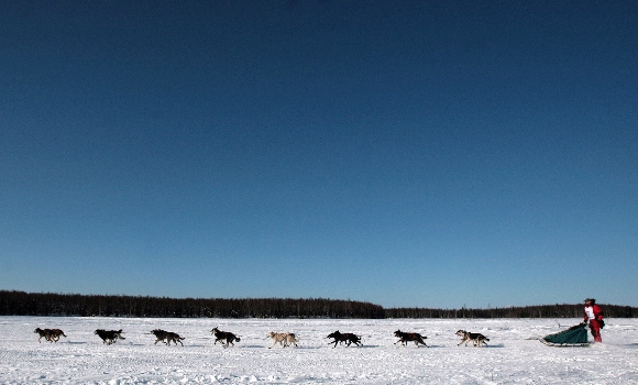 Three time Yukon Quest winner and cancer survivor Lance Mackey mushes his team over frozen Willow Lake as Iditarod XXXV official begins 04 March 2007 in Willow, Alaska.