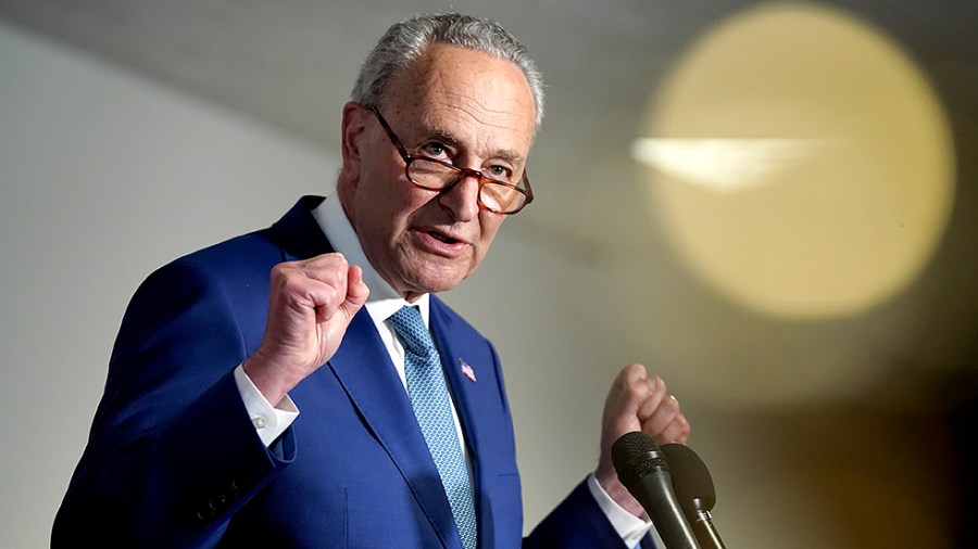 Majority Leader Charles Schumer (D-N.Y.)