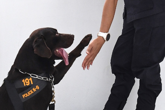 A police dog belonging to a Royal Thai police special K-9 unit makes a high five with the handler