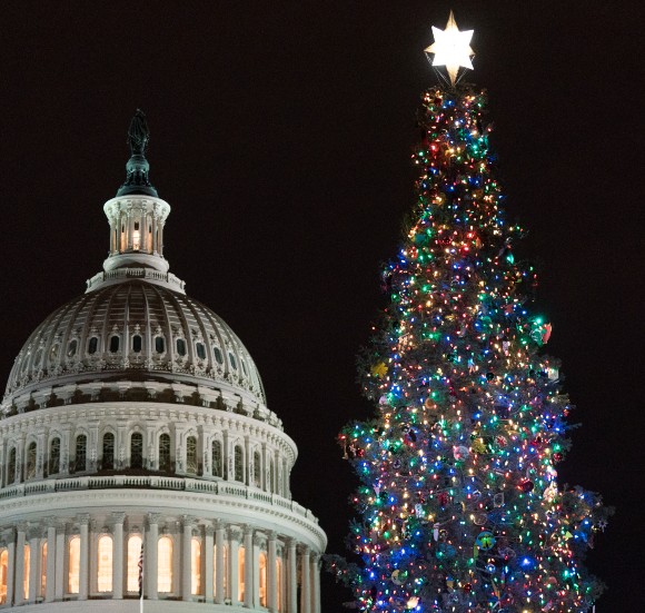 The Capitol Christmas Tree