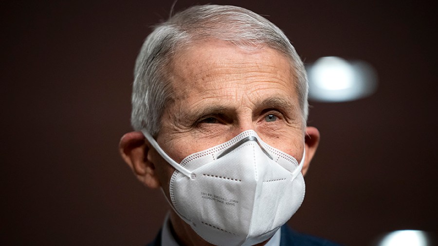 Dr. Anthony Fauci, White House Chief Medical Advisor and Director of the NIAID, is seen before a Senate Health, Education, Labor, and Pensions Committee hearing to examine the federal response to COVID-19 on Jan. 12, 2022.