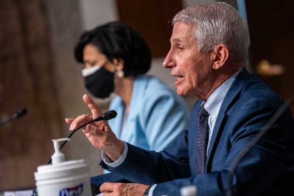 Dr. Anthony Fauci testifies before a Senate panel