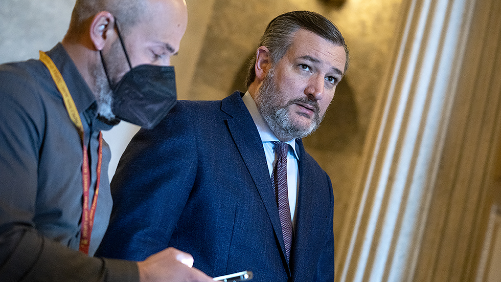 Sen. Ted Cruz (R-Texas) speaks to a reporter outside the Senate Chamber during the nomination vote of Robert Califf to be Commissioner of the Food and Drug Administration on Tuesday, February 15, 2022.