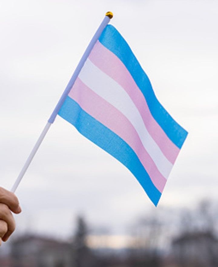 Missouri lawmakers consider extending proposed ban on gender-affirming care to adults