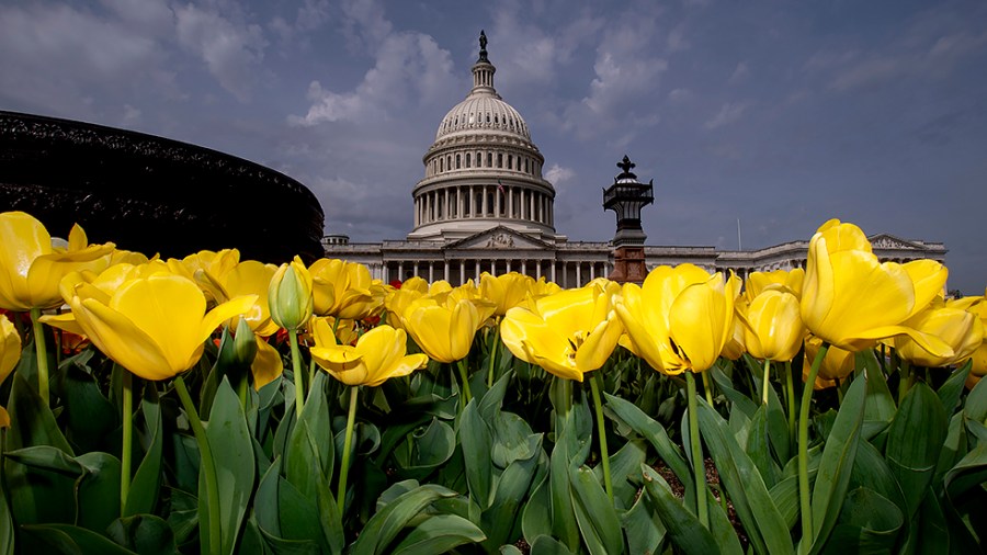 Flowers are seen on the East Front Plaza of the Capitol on Wednesday, April 13, 2022.