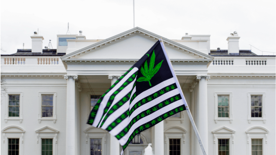 A black and white American flag marked with marijuana leaves flies in front of the White House