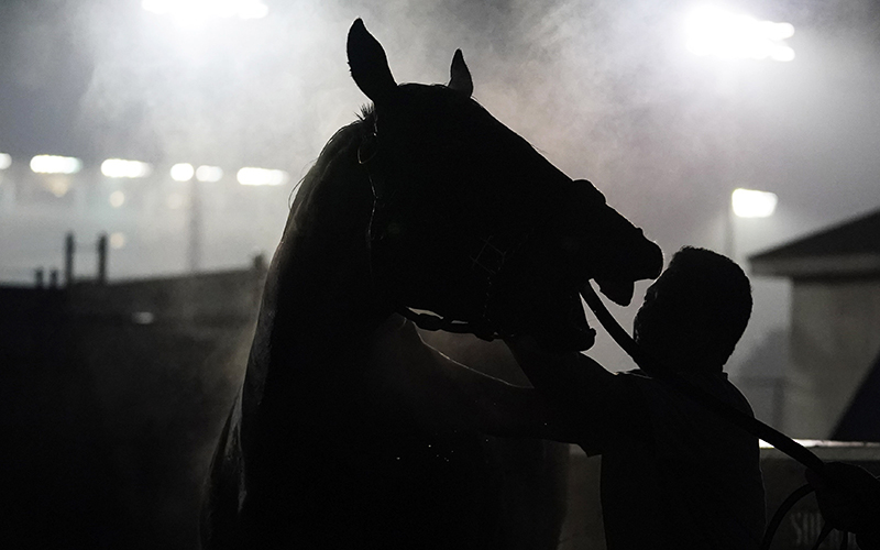 A horse tries to bite a trainer while being bathed