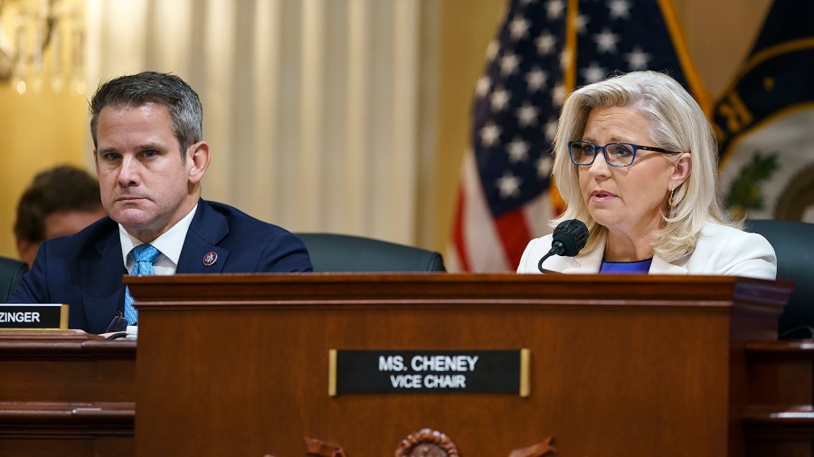 Reps. Adam Kinzinger (R-Ill.) and Liz Cheney (R-Wyo.)