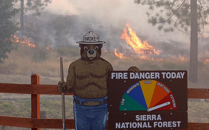 Fire burns near a Smokey the Bear fire warning sign