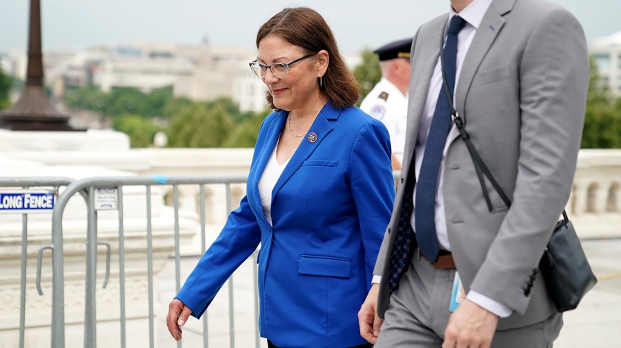 Rep. Suzan DelBene (D-Wash.)