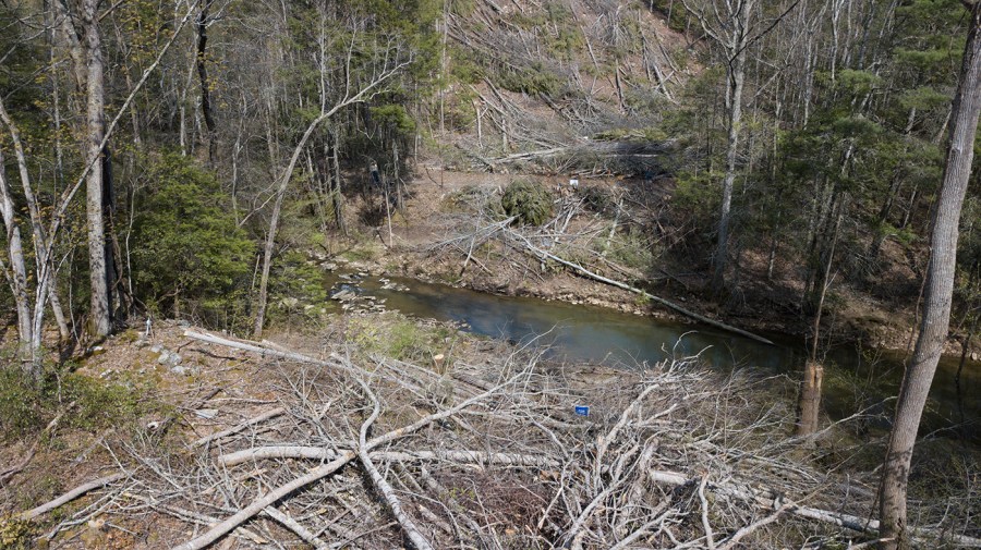 A section of downed trees sit atop a ridge