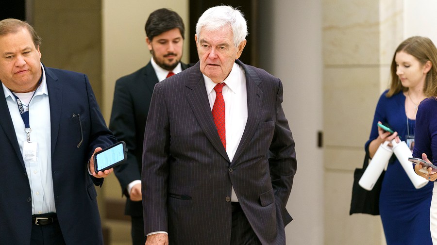 Former Speaker Newt Gingrich (R-Ga.)