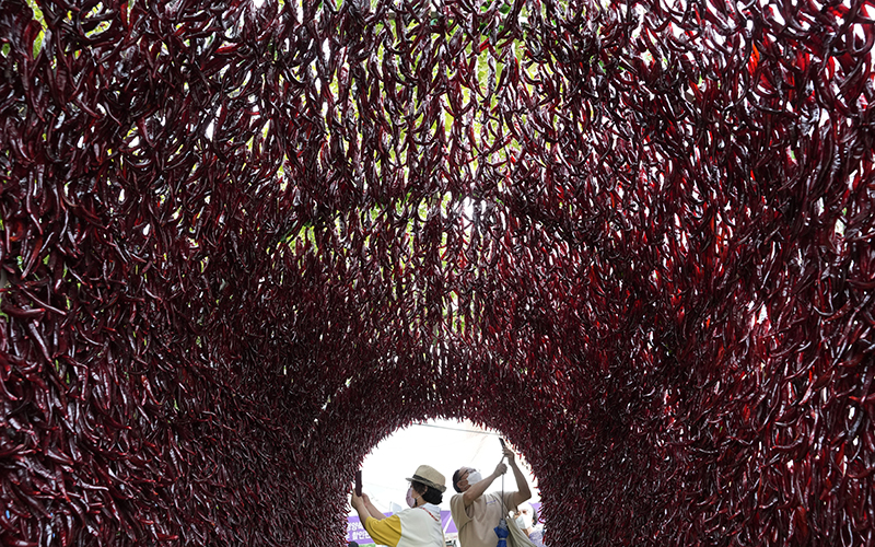 People wearing masks take photos inside a hot red pepper tunnel