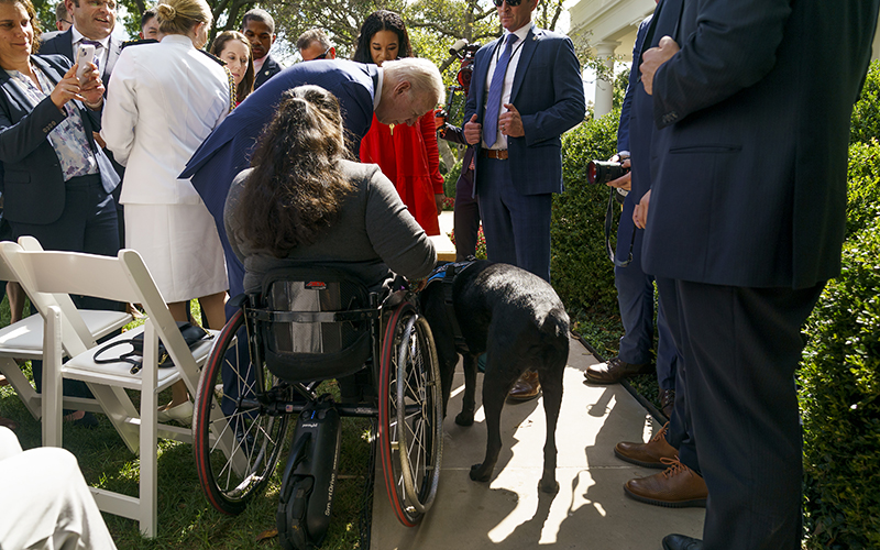 President Biden greets Anjail Forber-Pratt and her service dog Kolton