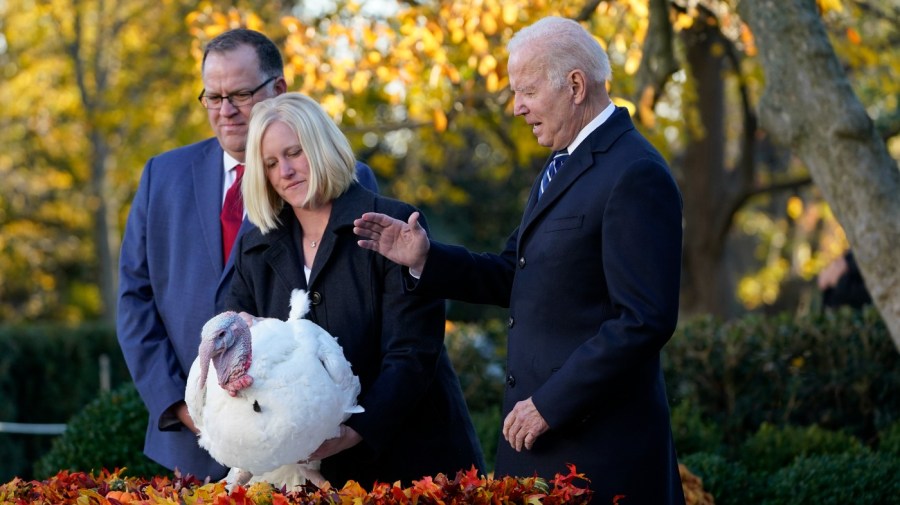 President Biden pardons turkey