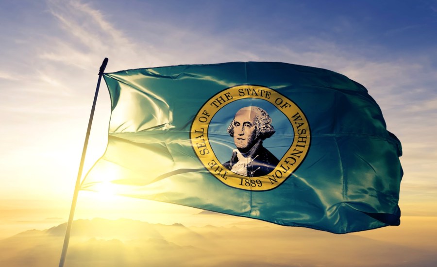 Washington state flag.