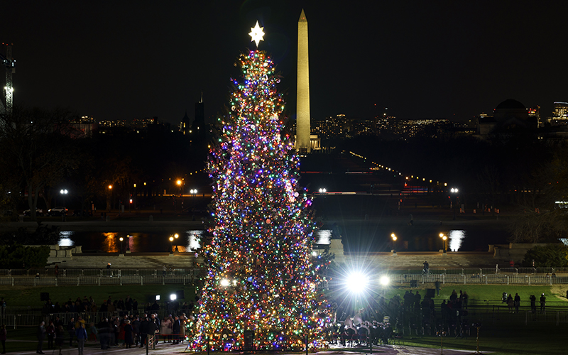 The Capitol Christmas Tree is lit following a ceremony