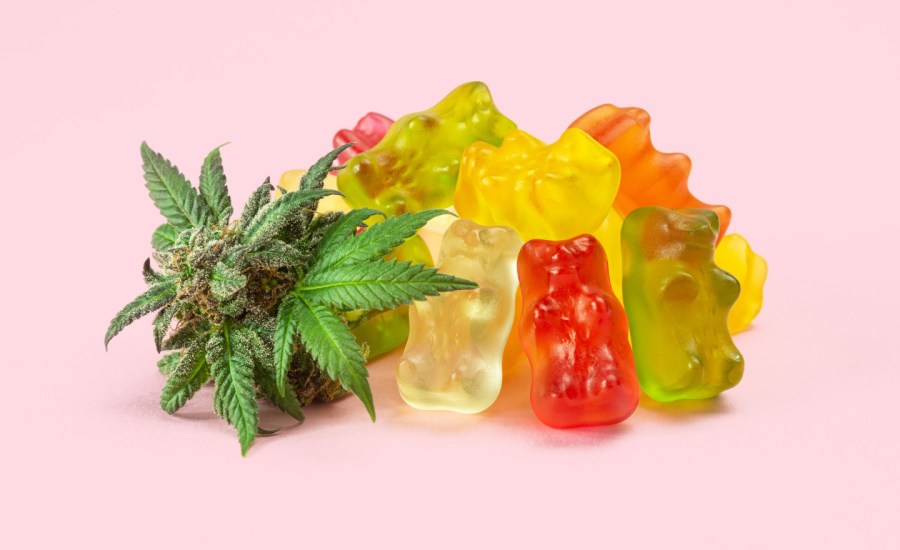 Cannabis gummies.