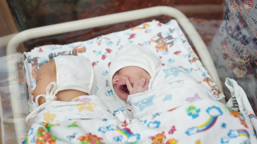 two babies wrapped in blankets in a hospital ward bassinet