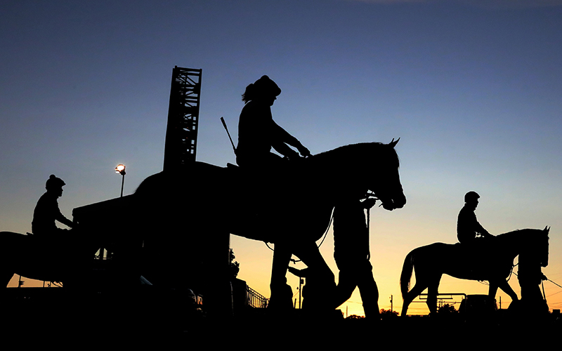 Horses come and go to the track during morning workouts as trainers prepare their horses