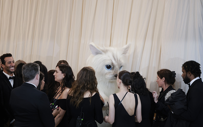 Jared Leto dressed as a cat arrives on the red carpet for The Met Gala