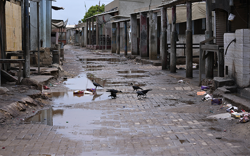 Crows drink rainwater at an empty market after people fled from the coastal area as Cyclone Biparjoy approached Thatta, Pakistan