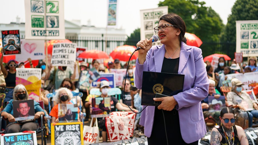 Rep. Rashida Tlaib (D-Mich.)