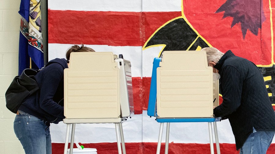 Two voters cast their votes at voting stations