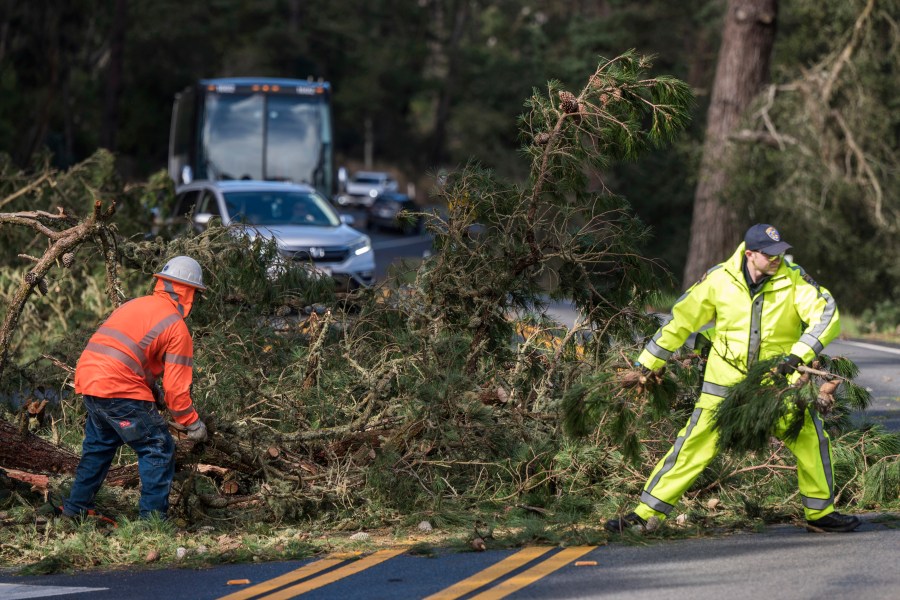 Crews clear downed trees on Highway 68 Sunday, Feb. 4, 2024, in Monterey, Calif. California braced Sunday for the worst of a potentially dangerous storm that threatened to hammer parts of the state with hurricane-force winds and cause flooding and mudslides as it moves down the coast over the next few days. (AP Photo/Nic Coury)