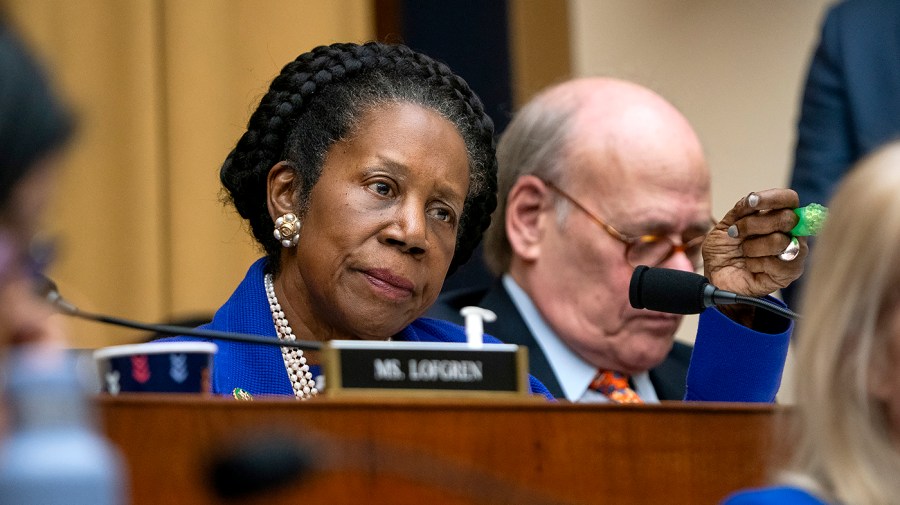 Rep. Sheila Jackson Lee (D-Texas)