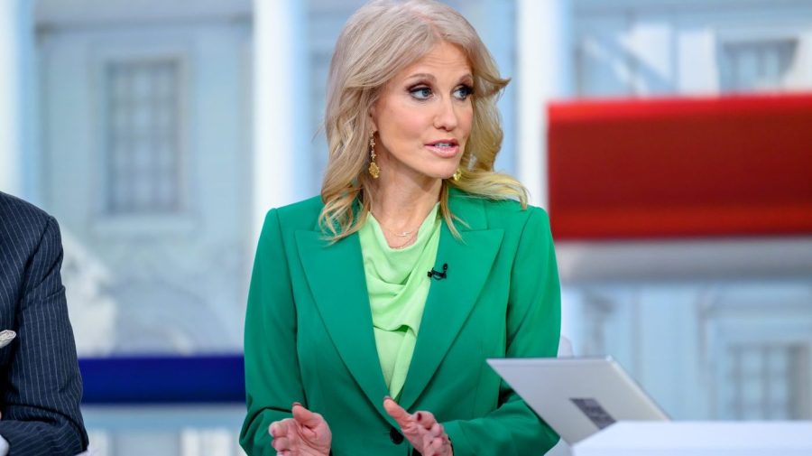 Kellyanne Conway is seen during a segment on Fox News.