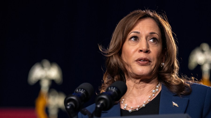 Democratic presidential candidate, U.S. Vice President Kamala Harris speaks to supporters during a campaign rally at West Allis Central High School on July 23, 2024 in West Allis, Wisconsin. Harris made her first campaign appearance as the party's presidential candidate, with an endorsement from President Biden. (Photo by Jim Vondruska/Getty Images)