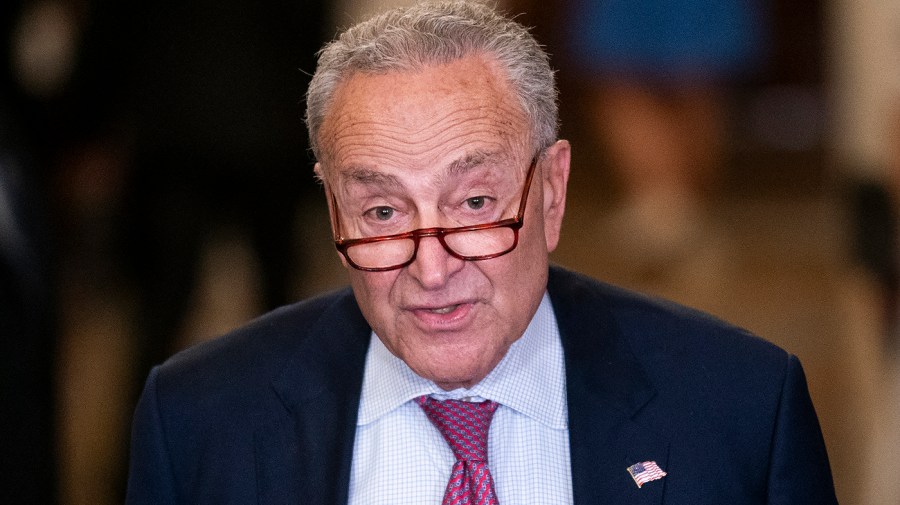 Majority Leader Chuck Schumer (D-N.Y.)