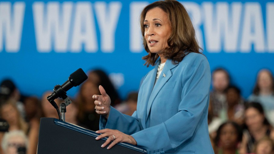 Vice President and Democratic presidential candidate Kamala Harris speaks at the Hendrick Center for Automotive Excellence on the Scott Northern Wake Campus of Wake Tech Community College in Raleigh, North Carolina, on August 16, 2024. Harris is unveiling an economic blueprint heavy on popular measures to cut costs for Americans, while attacking powerful companies for price gouging, as she fleshes out her election platform ahead of the Democratic National Convention. (Photo by Allison Joyce / AFP) (Photo by ALLISON JOYCE/AFP via Getty Images)