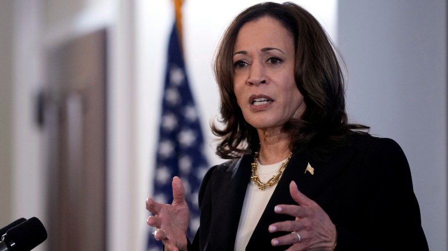 Vice President Kamala Harris speaks in the Eisenhower Executive Office Building on the White House complex in Washington, June 17, 2024. (AP Photo/Susan Walsh, File)