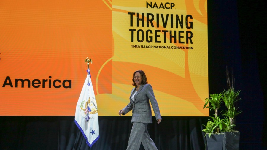 Vice President Kamala Harris takes the stage at the 114th National Association for the Advancement of Colored People's national convention, Saturday, July 29, 2023, in Boston. An election year that was already bitterly partisan has been completely upended by President Joe Biden’s decision to drop out of the 2024 White House race and endorse Vice President Kamala Harris. (AP Photo/Reba Saldanha, File)