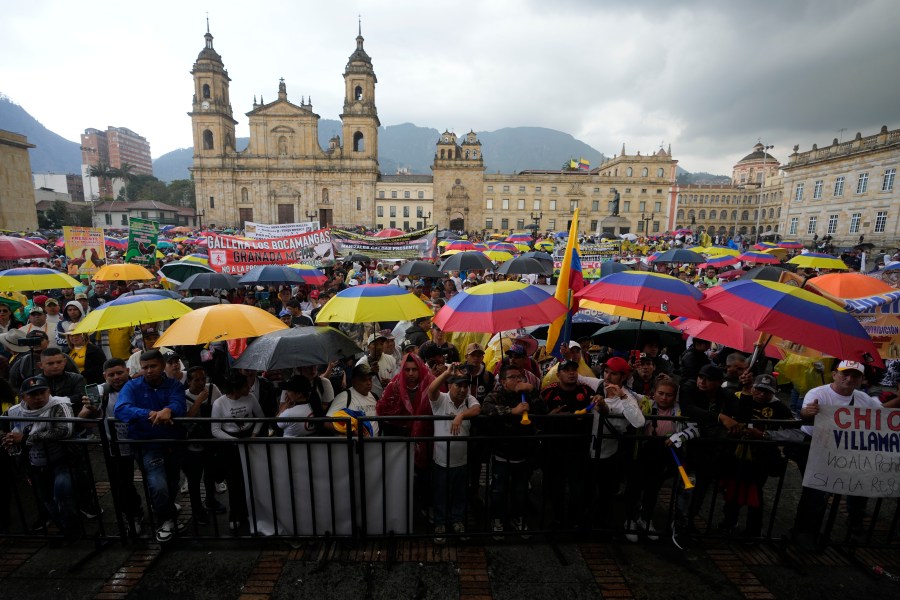 Rooster handlers gather at Bolivar Plaza to protest against a proposed bill that would ban cockfighting in Bogota, Colombia, Tuesday, Oct. 8, 2024. (AP Photo/Fernando Vergara)