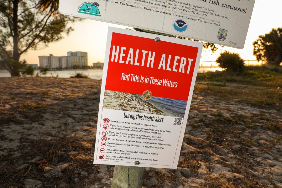 FILE - A health alert sign warns visitors to Sand Key Park of the presence of Red Tide in the surrounding water, March 9, 2023, in Pinellas County, Fla. (Douglas R. Clifford/Tampa Bay Times via AP, File)